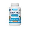 Glandex prášok 156g
