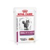 Royal Canin Cat Renal kapsička 85g