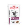 Royal Canin Cat Renal kapsička 85g