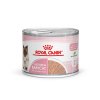 babycat instinctive can 26