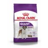 giant adult 17