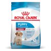 medium puppy 42