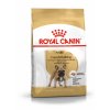 french bulldog adult 12