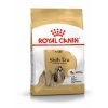 shih tzu adult 11