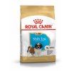 shih tzu puppy 10
