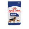 maxi adult 10x