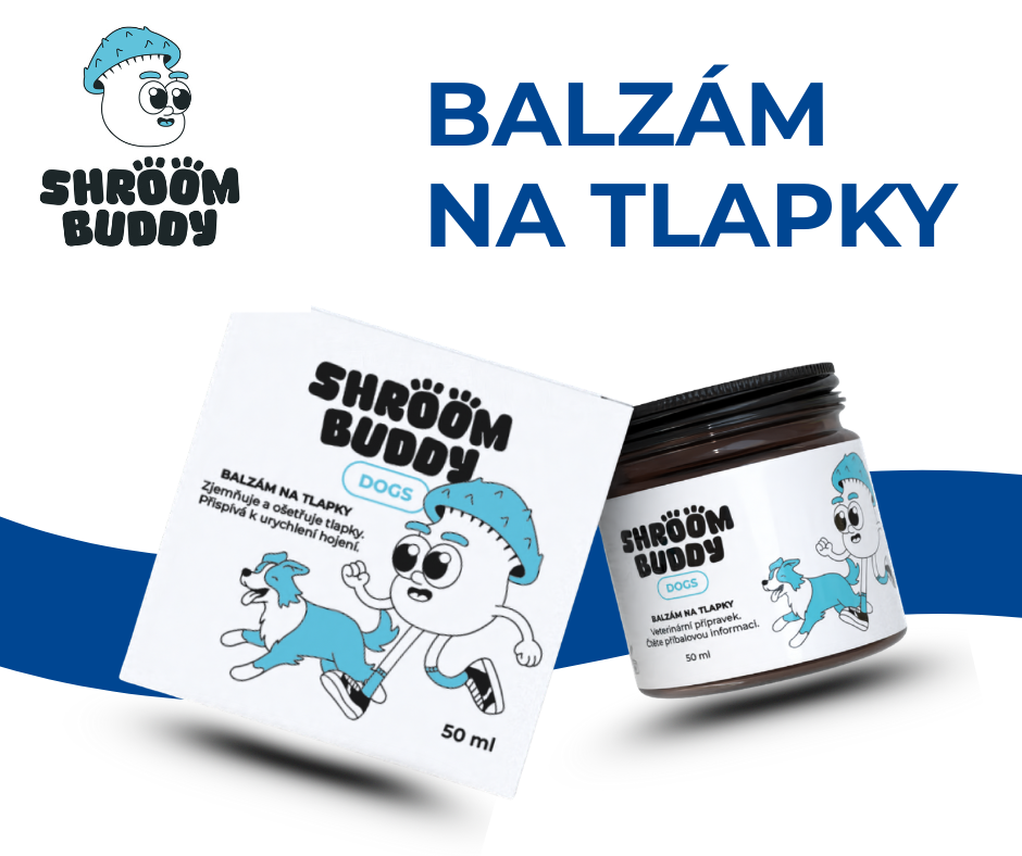 Jak pečovat o psí tlapky, aby zůstaly zdravé po celý rok.