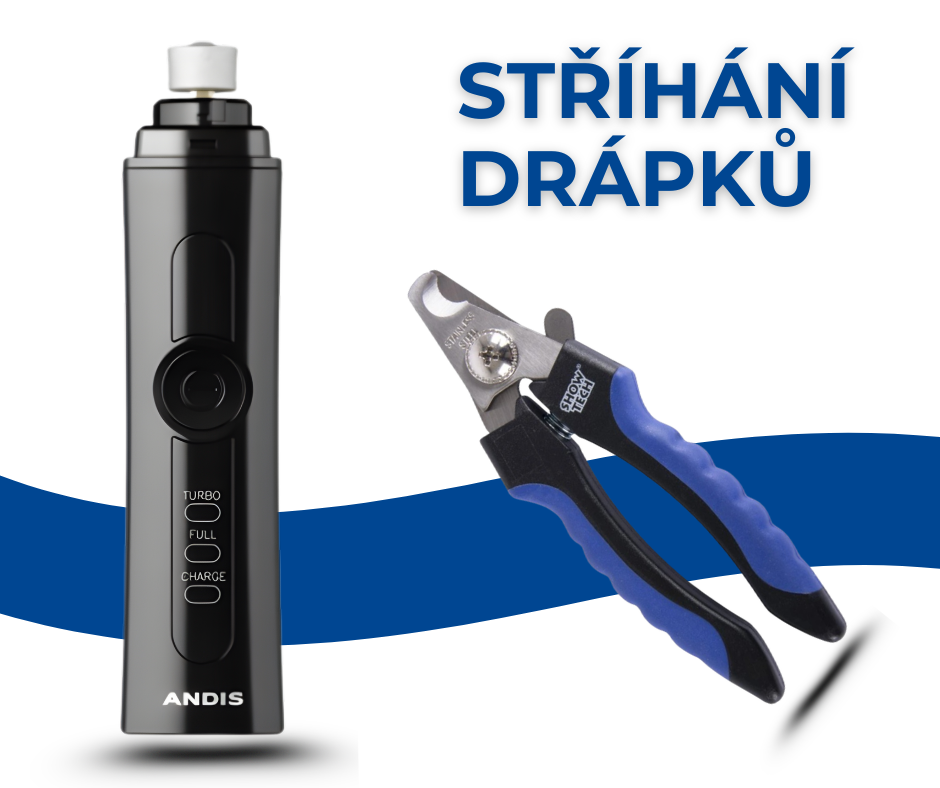 Jak správně ostříhat drápky psovi. Kompletní návod krok za krokem.