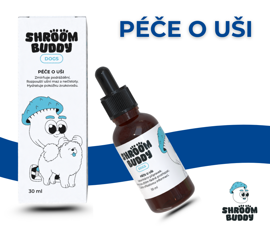 Škrábání psích oušek? Už jen při mazlení!