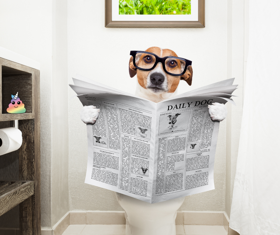 O čem se mezi pejskaři mluví