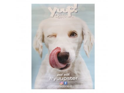 Plakát YUUP! 50x70 cm Bílé štěně