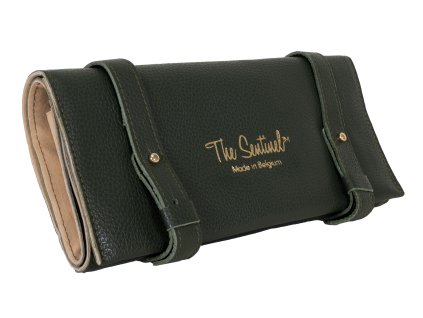 23TSE031 1 the sentinel leather pouch olive green