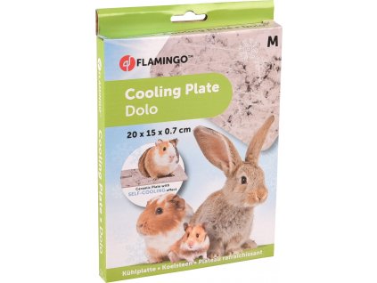 COOLING STONE DOLO GREY M 20x15x0 7CM 220420211031593960