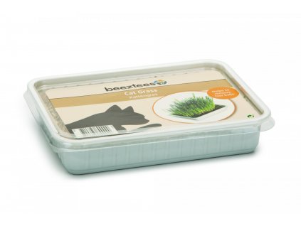 BZ GRASS FOR CAT IN PLASTIC BOX 130GR 2402202108423936164