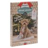 Beeztees PAW Adventni kalendar pro psy 100g 1209202512214189808