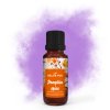 Směs esenciálních olejů PUMPKIN SPICE (Objem 10 ml)
