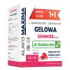 ALAVIS MAXIMA Gelowa Gummies jahoda tbl 120 cps 60 060120261736115953