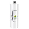 Kondicioner zelené jablko PLUS ISB (Objem 1000 ml)