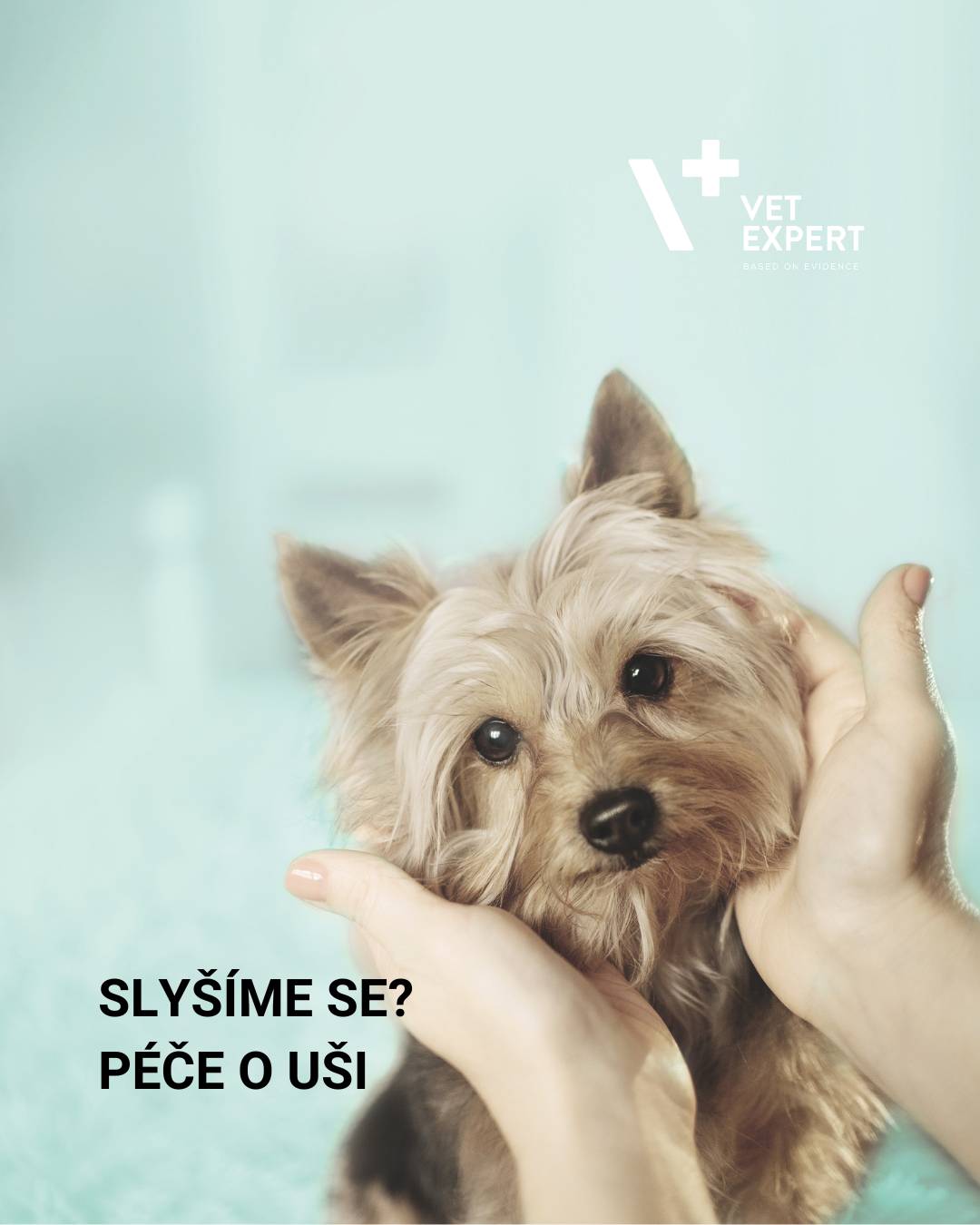 Slyšíme se? Péče o uši