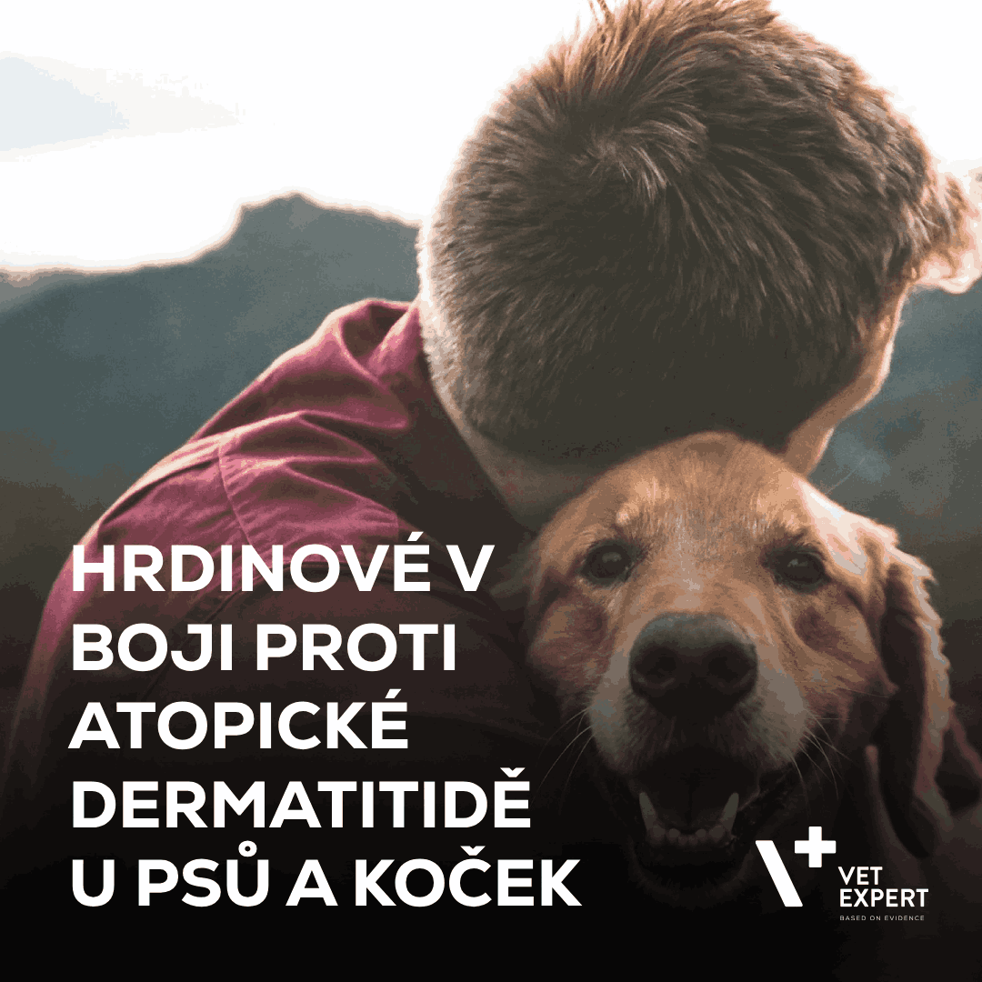 Podpora hrdinů: Hrdinové v boji proti atopické dermatitidě u psů a koček