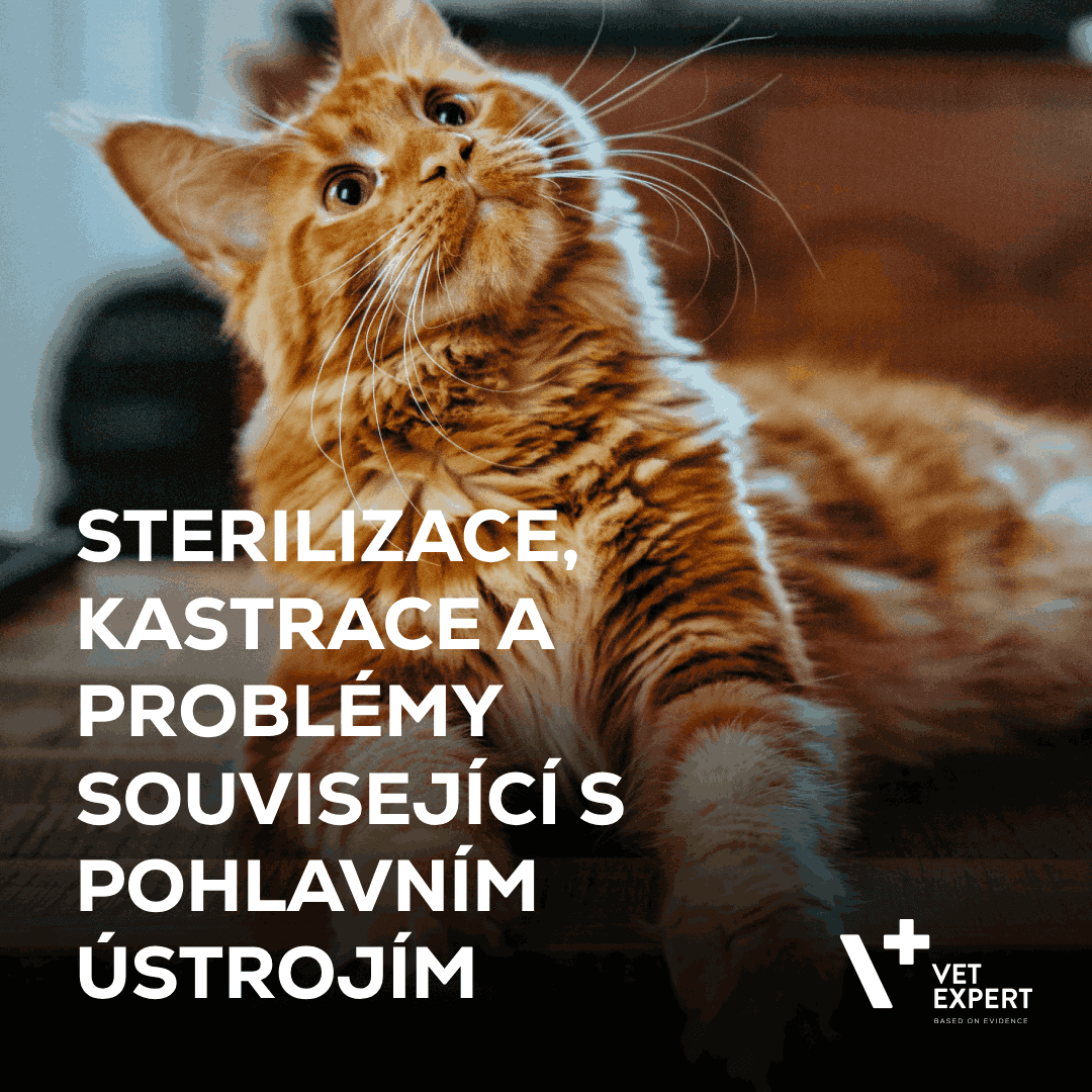 Sterilizace, kastrace a problémy související s pohlavním ústrojím