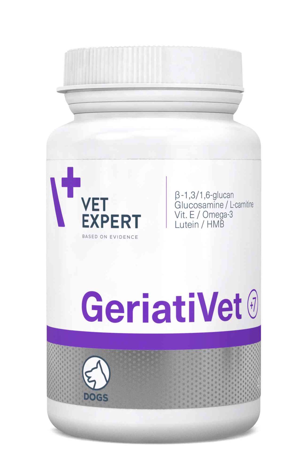 Jak krmit psího seniora?