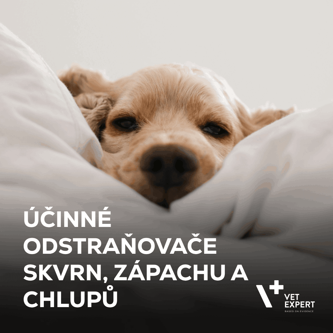 Účinné čističe skvrn, zápachu a chlupů