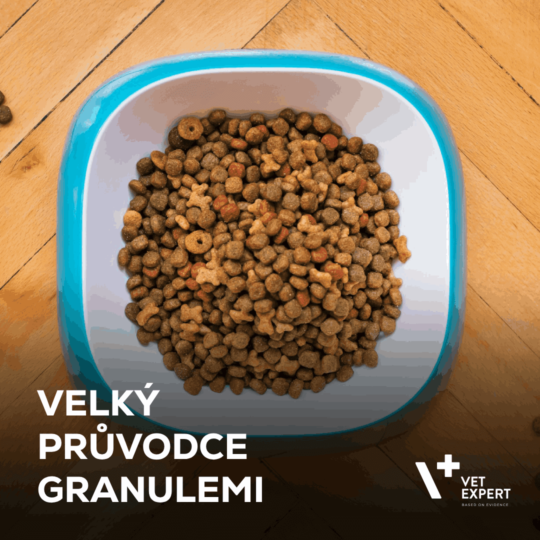 Velký průvodce granulemi: druhy, benefity, rizika