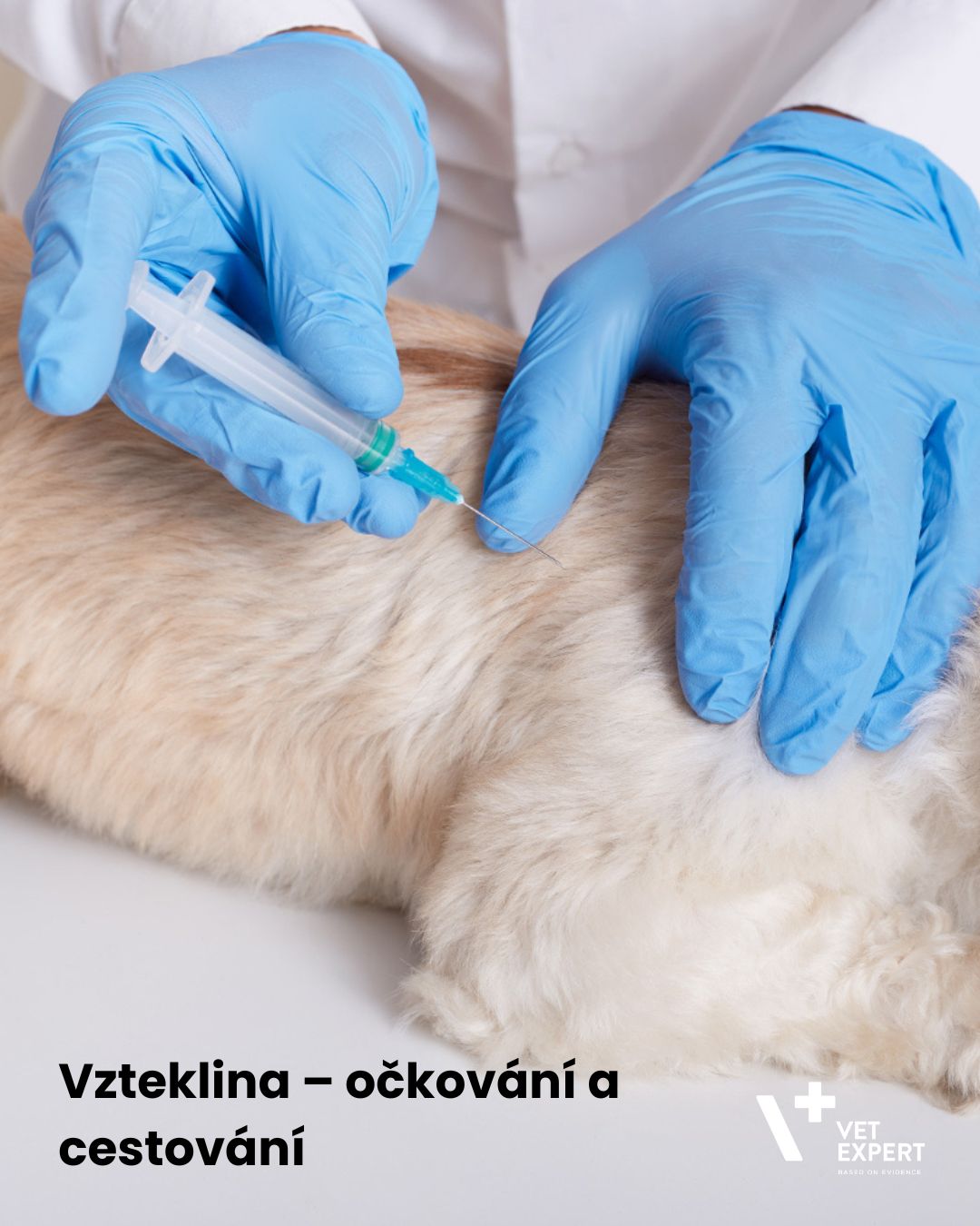 Vzteklina – očkování a cestování