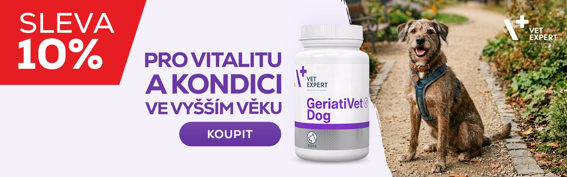 Geriativet
