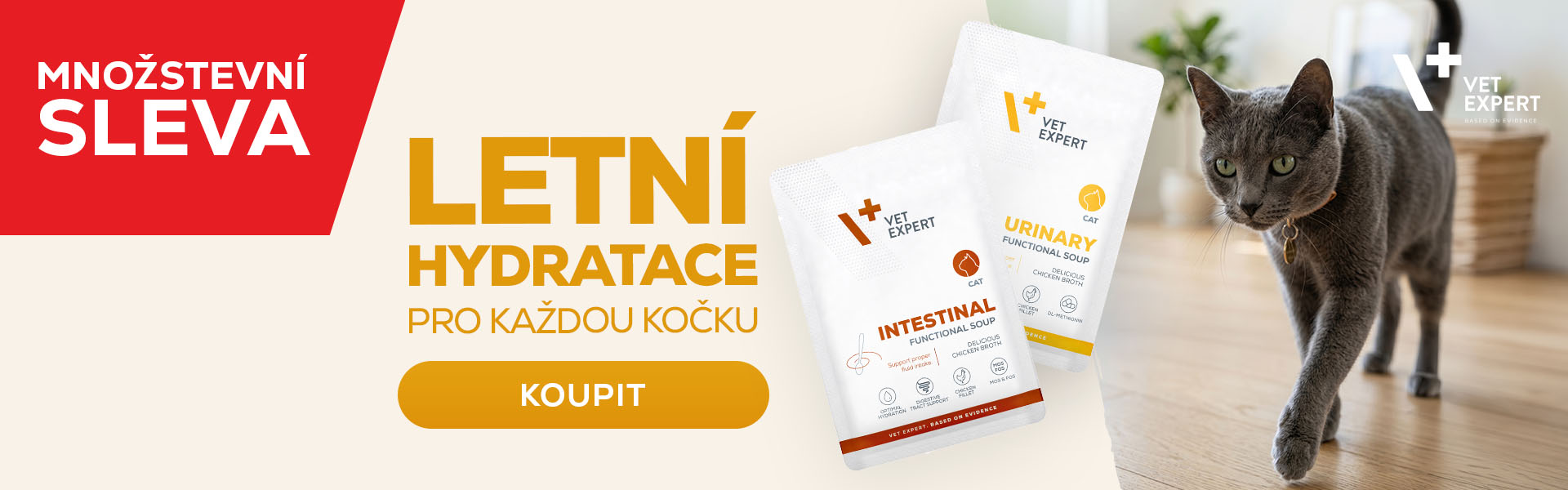 INTESTINAL A URINARY SOUPS