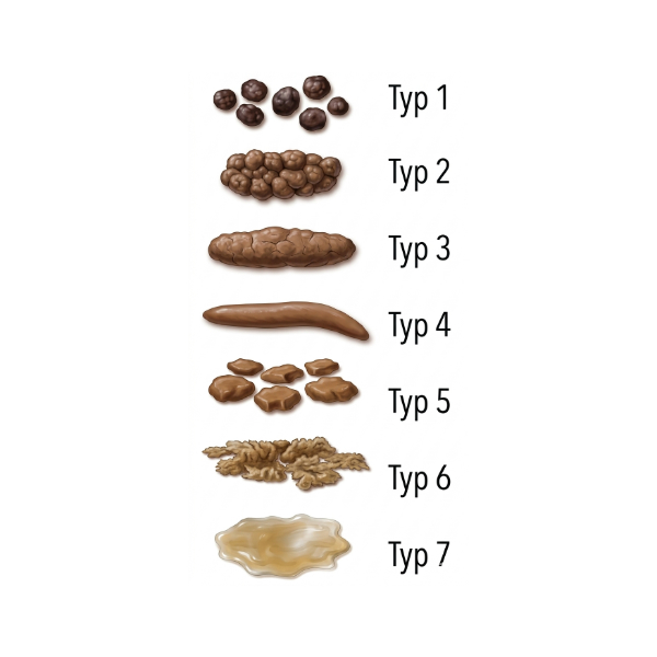 Škála stolice (fecal score) u psa