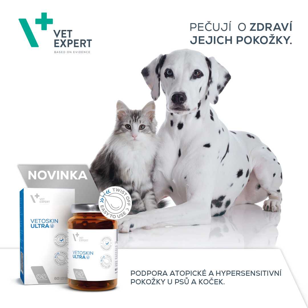 alopecie-u-psu-vetexpert-cz