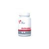 VE ArthroVet 20250110 1 cmyk