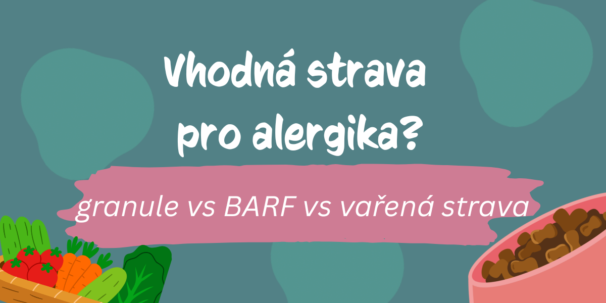 Alergie u psů a vliv stravy: granule, BARF nebo vařená strava?