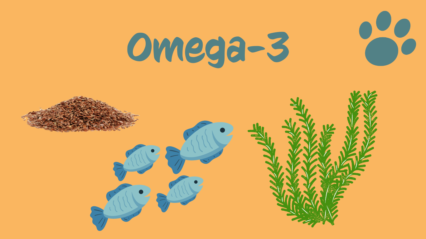 Pes alergik a omega-3