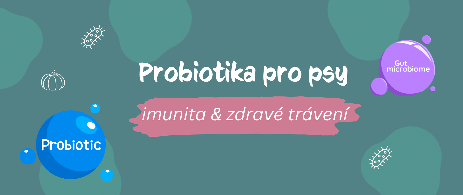🐶 Probiotika pro psy a jejich vliv na imunitu a stres