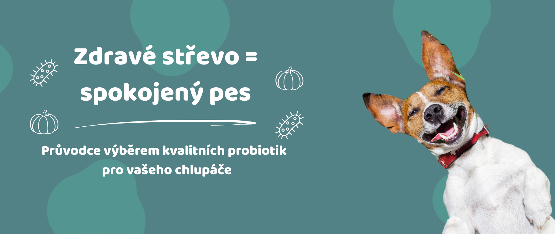 Probiotika pro psy: Na co si dát pozor a jak vybrat ta správná