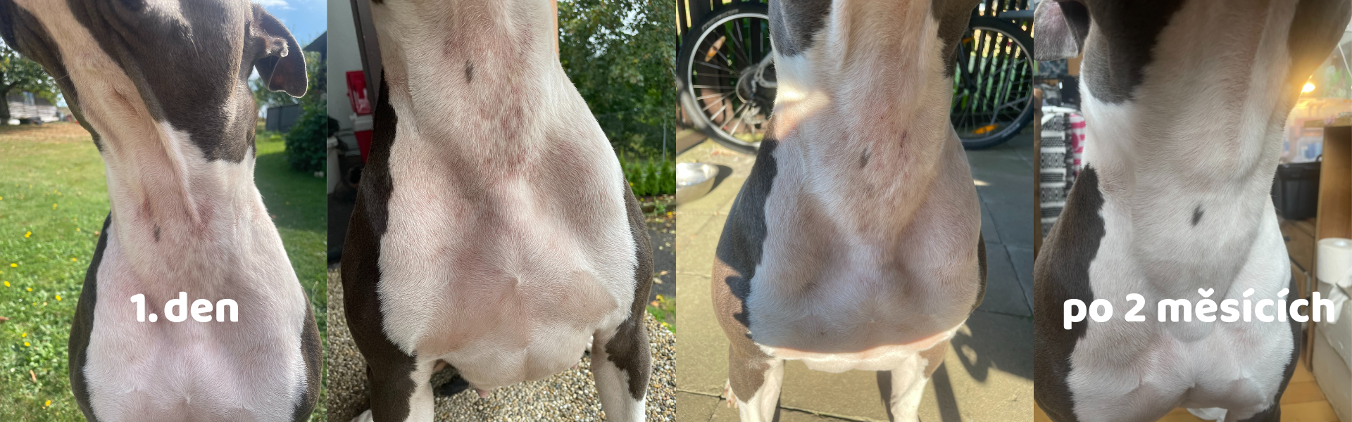 freya_aleergie_červená_kůže_aller-Immunity