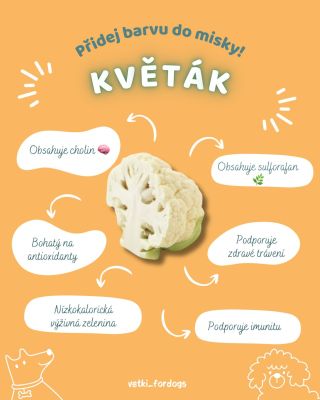 I bílá je barva 😁 Květák je nenápadný, ale pro pejsky může být skvělým „bílým superhrdinou“ do misky. Je lehký, jemný,...