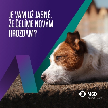 Kliešte sa stávajú celoročnou hrozbou.