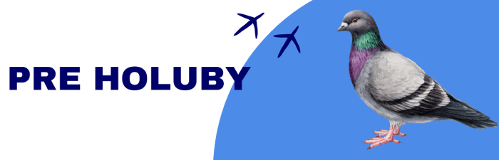 Pre holuby