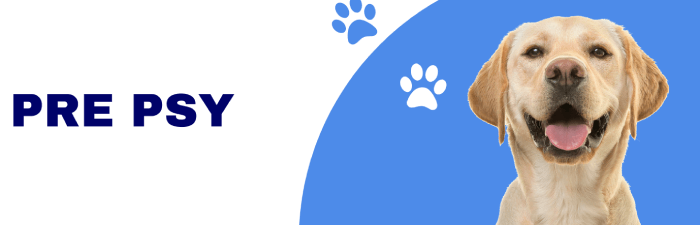 Pre psy