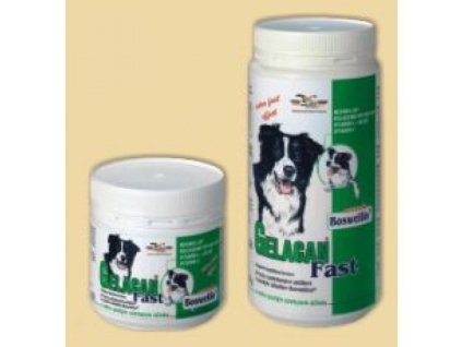 Gelacan Fast plv. 150g losos