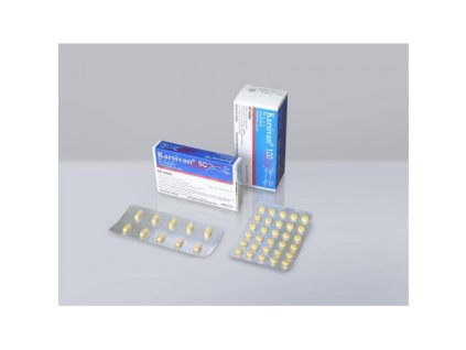 Karsivan 100 mg 6 x 10 tbl.