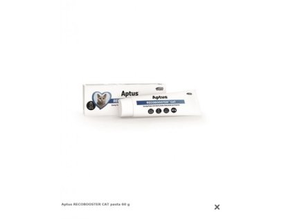 Aptus RECOBOOSTER CAT pasta 60 (APTUS® RECONVALESCENT CAT)