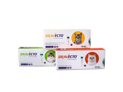 Bravecto cat 500x500 2