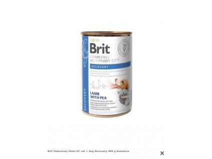 Brit Veterinary Diets GF cat + dog Recovery 400 g konzerva