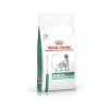 Diabetic dog granule