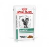 Veterinary Health Nutrition Cat Diabetic Pouch 12x